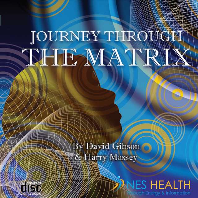journey through the matrix
