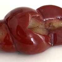 carnelian carved shell